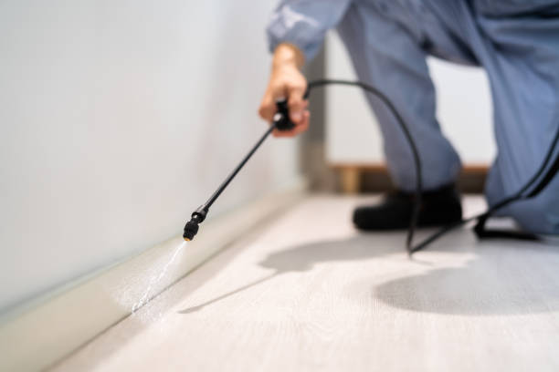 Licensed Fumigation Services service in Bayou La Batre, AL - Nex Pest Control