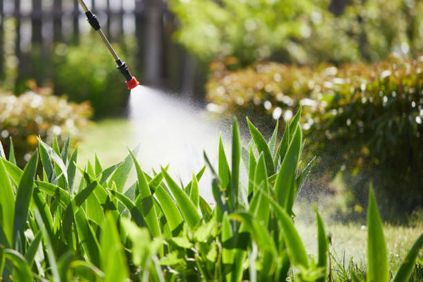 24/7 Emergency Fumigation Services experts in Bayou La Batre, AL
