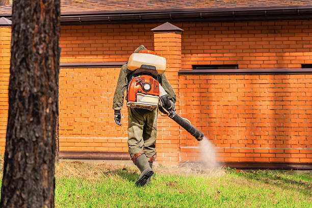 Trusted Mosquito Control service in Bayou La Batre, AL - Nex Pest Control